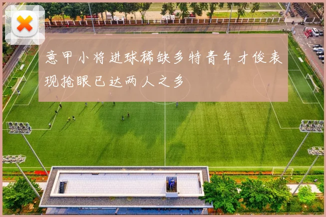 意甲小将进球稀缺多特青年才俊表现抢眼已达两人之多